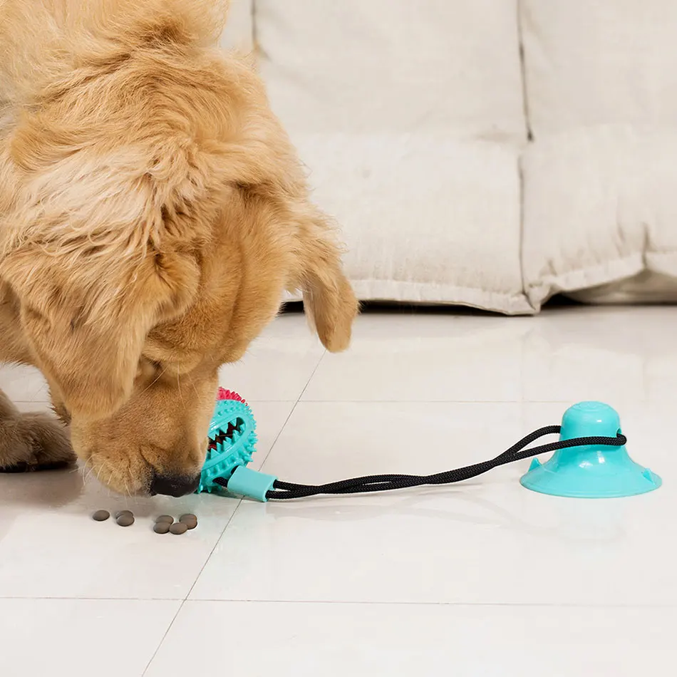 Интерактивная присоска Push TPR мяч игрушки для собаки эластичные веревки чистки
