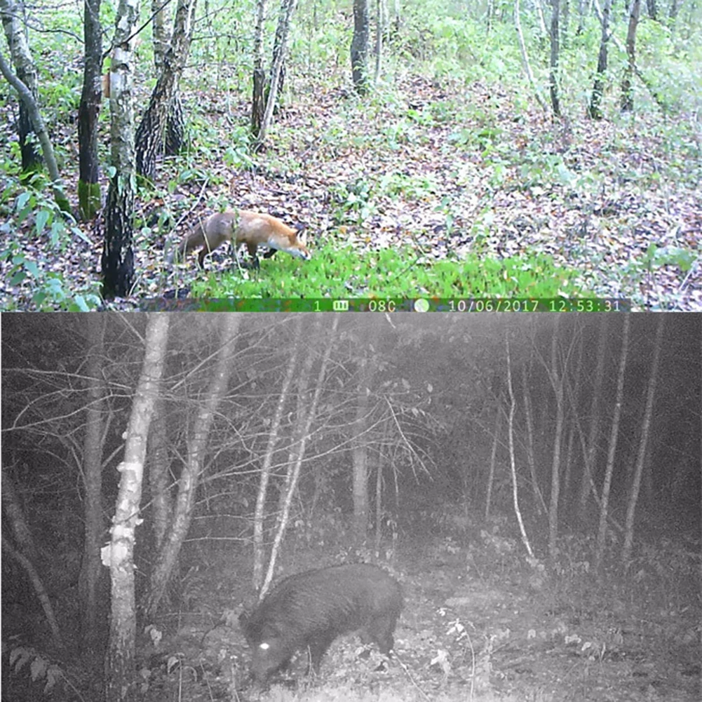 8MP охотничья камера 30 шт. Инфракрасные светодиоды IR ловушка для дикой природы