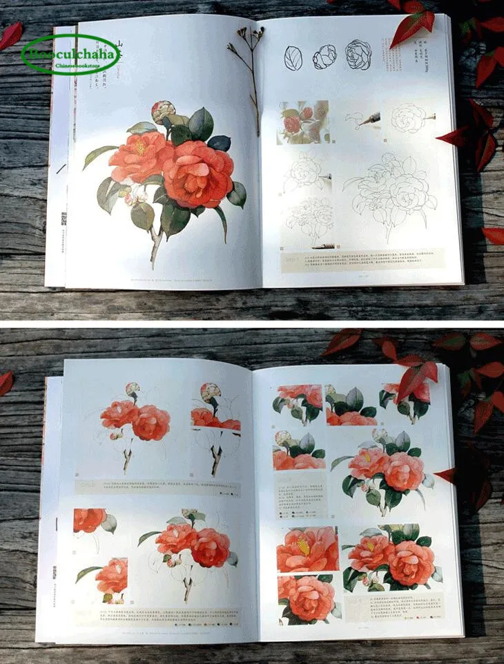 Учебная книга по акварелью в старинном стиле: цветы ивы и несовершеннолетние |