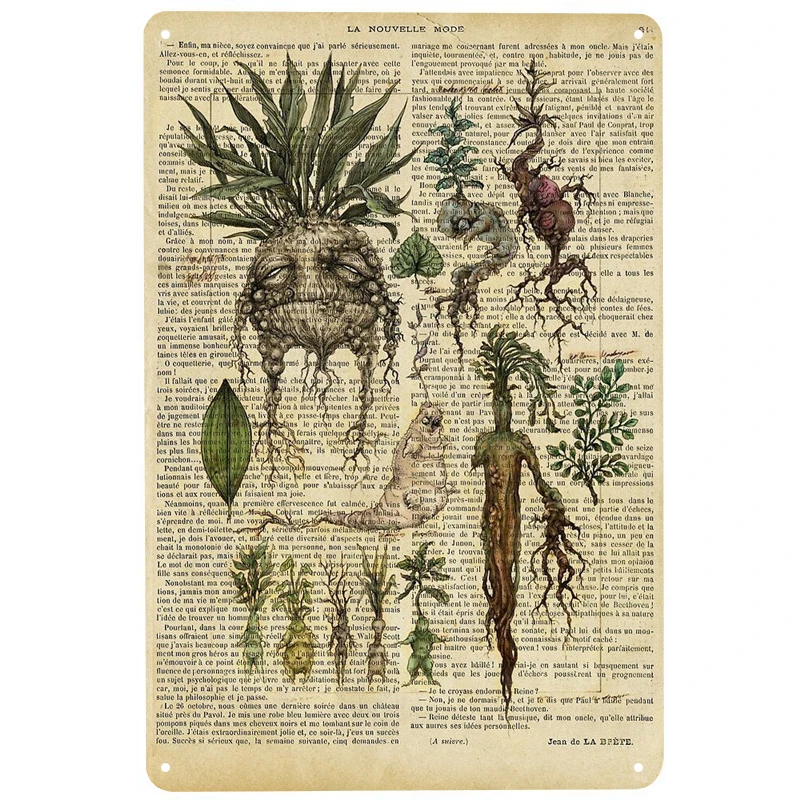 

Botanical on old book printed Metal Signs Retro Tin Signs Funny Poster Decor for Bar Pub Club Decoration for Living Room Home