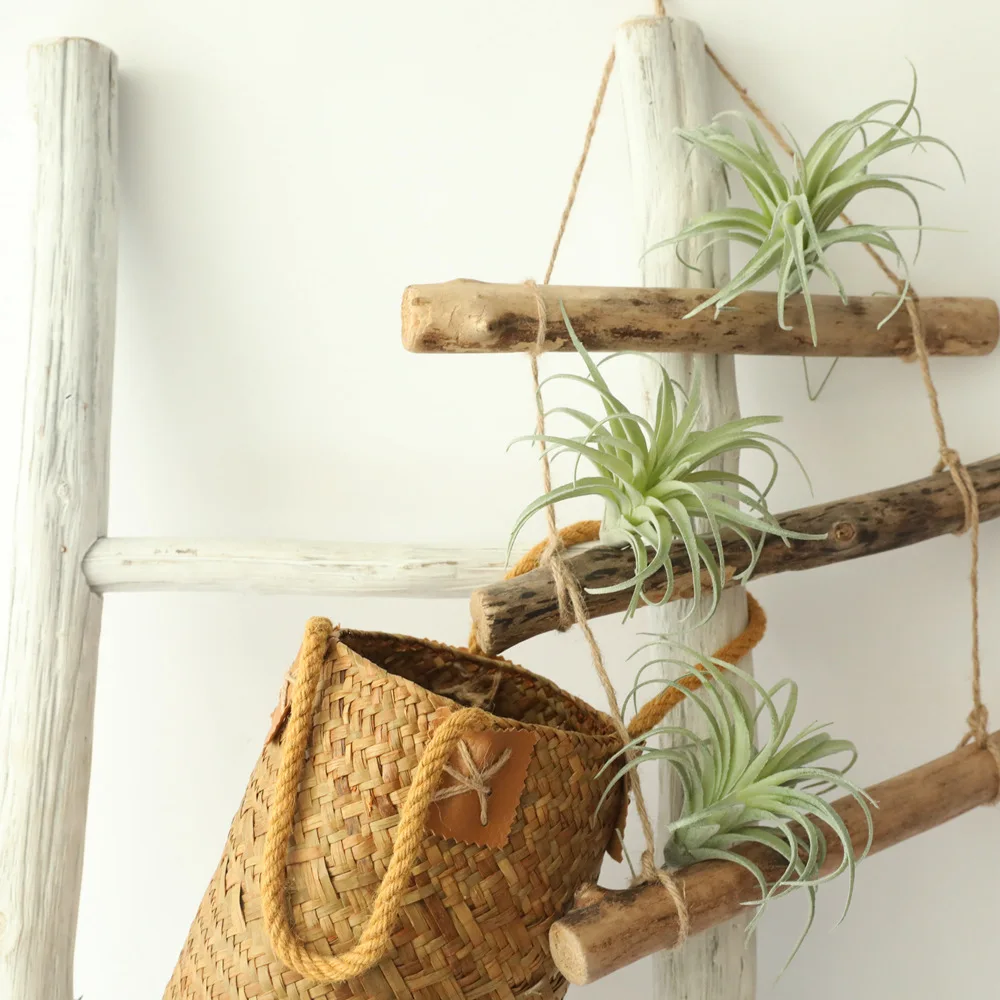 

Искусственные растения бромелияд зеленый домашний декор бонсай DIY пластиковые искусственные растения Настенные Аксессуары для рабочего с...