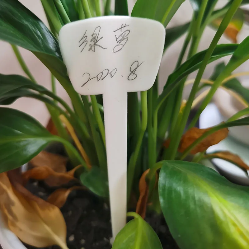 

20pcs Plant label 13cm small flower card Processing and customizing a variety of gardening supplies