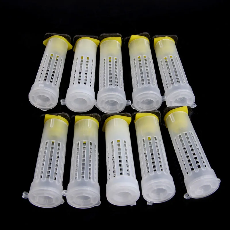 

10x Beekeeping Rearing Cup Kit Bee Queen Cages Roller Beekeeper Equipment Tool