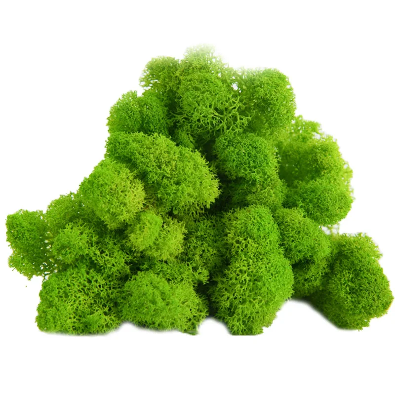 10 г/лот декоративные сухие натуральные свежие Мохи Sphagnum настоящая вечная сухая