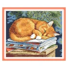 Ленивый кот на книге вышивка крестиком полный набор напечатанный холст 11CT 14CT сделай сам ручная работа Рукоделие украшение дома