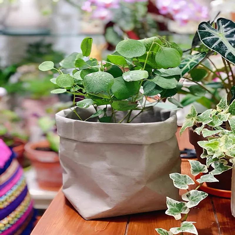 

Washable Kraft Paper Storage Bag No Words Plants Flower Grow Container Sundries Food Storage Bags Organizer for Home packaging