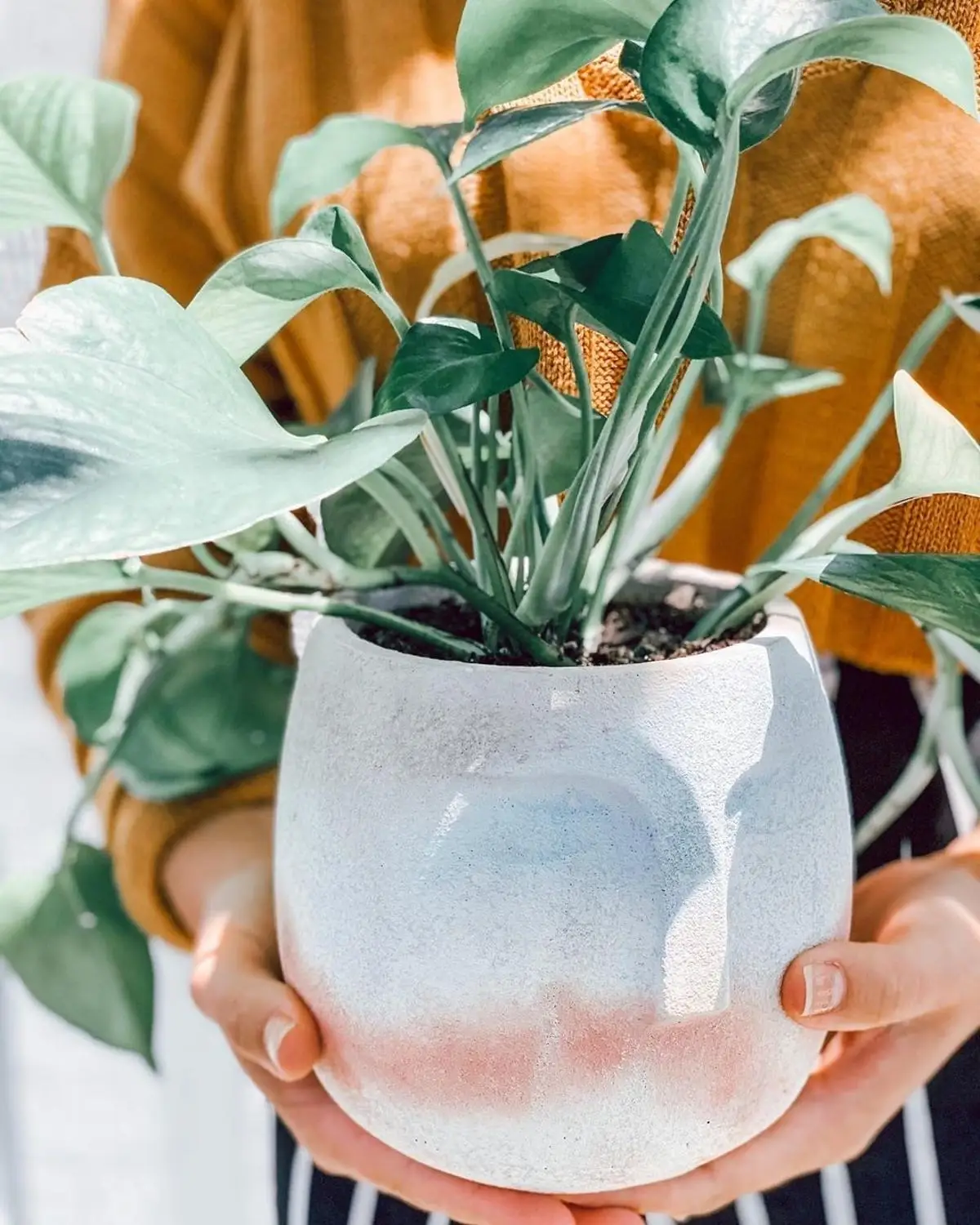 Силиконовые формы для плантаторов форма бетонных цветочных горшков креативная