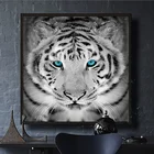 Современный черный и белый тигр с голубыми глазами, холст, живопись, красивое дикое животное, Psoter, печать на стене, Pcitrue, декор для гостиной