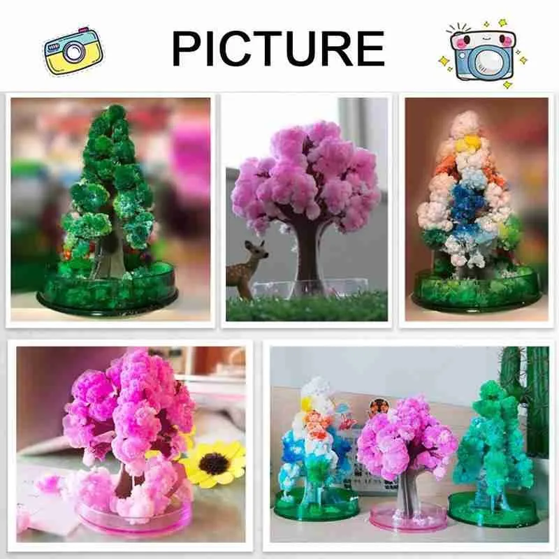 Многоцветный растущая бумага Дерево Игрушка Магический Рост с рождественской