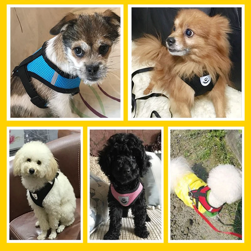 Воздухопроницаемый комплект из нагрудного ремня и для щенков кошек Регулируемый