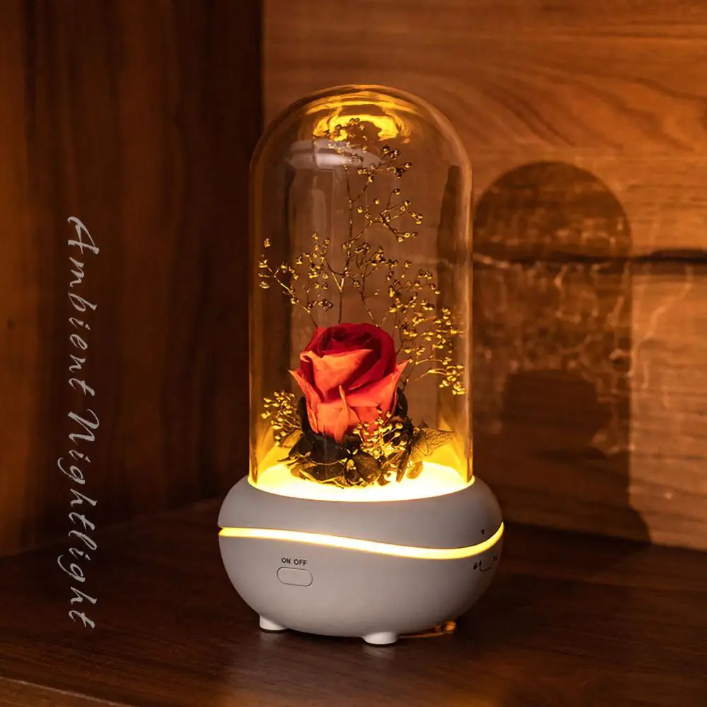 

Creative-Preserved Fresh Flower Fragrance Lamp Colorful Ambience Light USB Aroma Diffuser Household Gift Birthday Gift