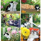 5D алмазная живопись сделай сам, животное, пейзаж, вышивка крестиком, милая кошка, алмазная вышивка, полная квадратная круглая вышивка, домашний декор, ручной подарок