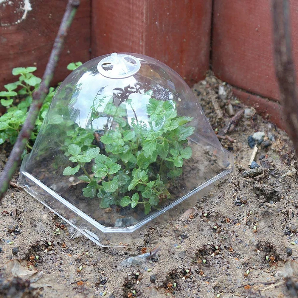 

Seedlings Dome Transparent Plant Freeze Protection Cloche Cover