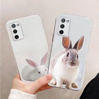 bunny phone case for xiaomi mi 11 ultra lite 10 redmi note 9 8 7 9a k30s k40 pro transparent coque