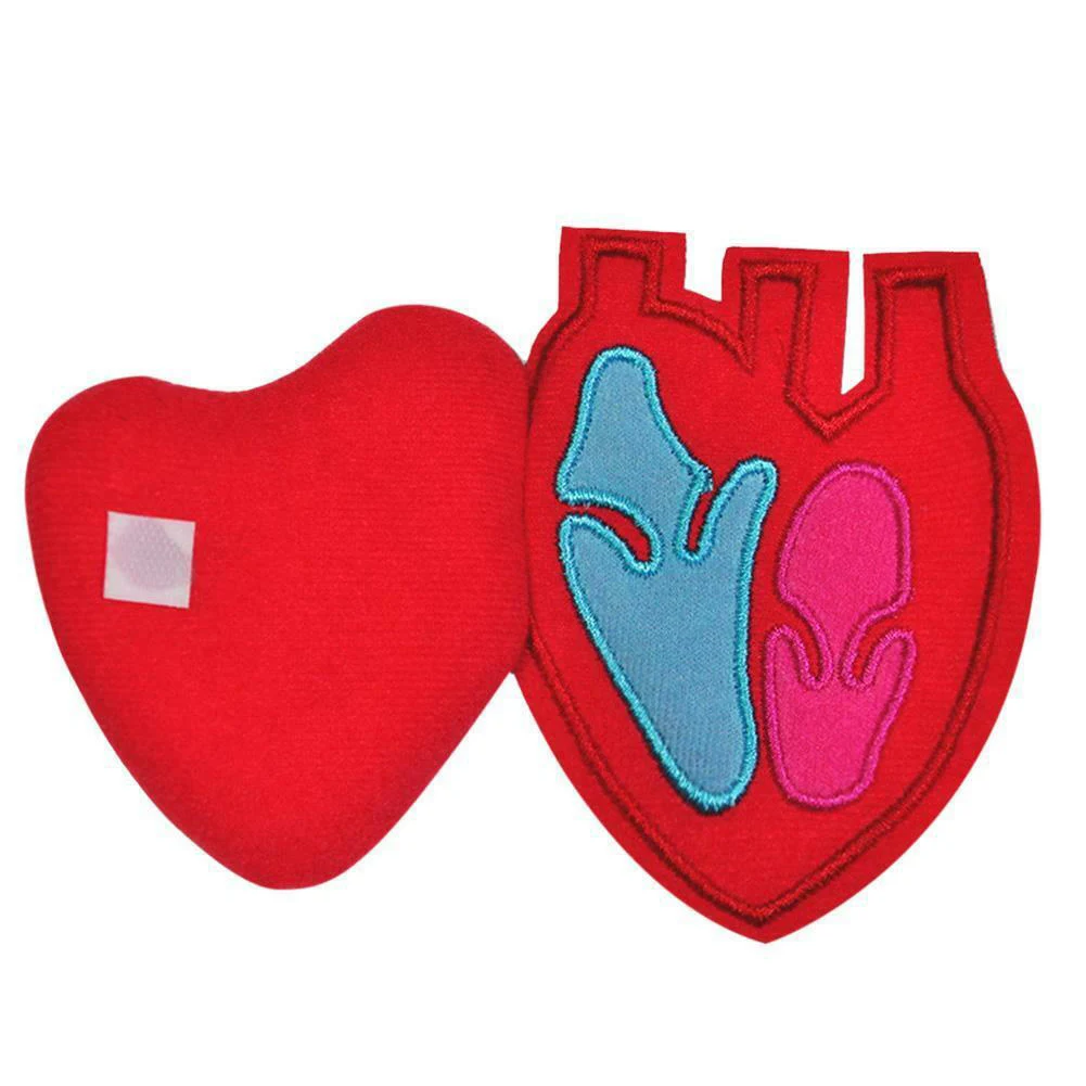 

NEW Child Education Organ Apron Anatomy Apron for Human Body Organ Awareness Educational