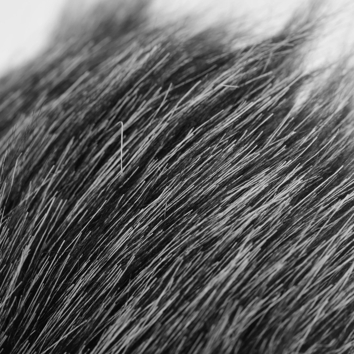 Микрофоны аксессуары для студийной фотосъемки на лобовом стекле лампа лобового