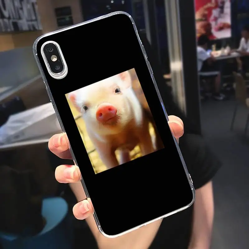

Animal Cute Little Pink Pet Pig Phone Case Transparent soft For iphone 5 5s 5c se 6 6s 7 8 11 12 plus mini x xs xr pro max