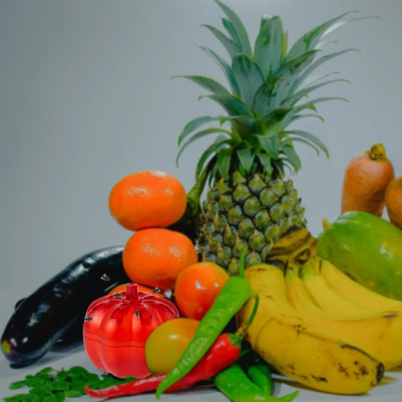 

2 Pack Red Plastic Pumpkin Shape Fruit Fly Traps Reusable Fly Trap Gnat Killer Fruit Fly Killer for Indoor Home Dining