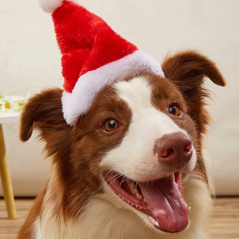 

Christmas Small Plush Santa Hat for Pet Dog Cat Hat For Home Cap Pet Gift Merry Christmas Decorations Dog Supplies