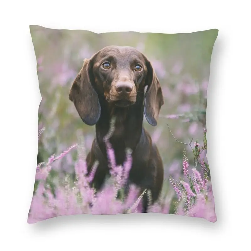 

Cute Dachshund Dog Print Cushion Covers Sofa Home Decor Sausage Wiener Badger Dogs Square Throw Pillow Cover 40x40cm