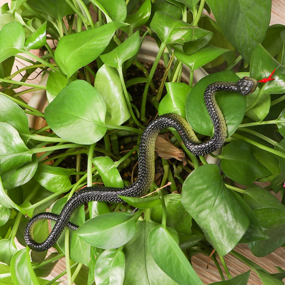 1 шт. Хэллоуин смешные страшные змейки розыгрыши реквизит для декора высокая