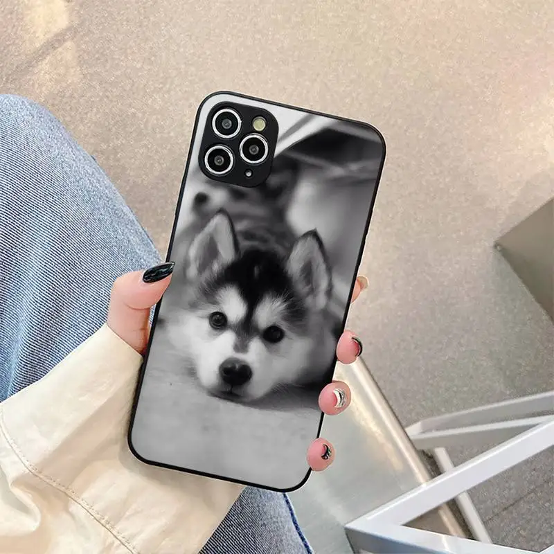 

Husky the cute pet dog Phone Case For iphone 5s 6 7 8 11 12 plus xsmax xr pro mini se Cover Fundas Coque
