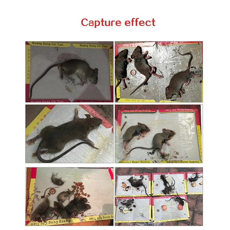 Клейкая подставка для мыши 3-20 шт. клеевая ловушка мышей эффективный грызунов