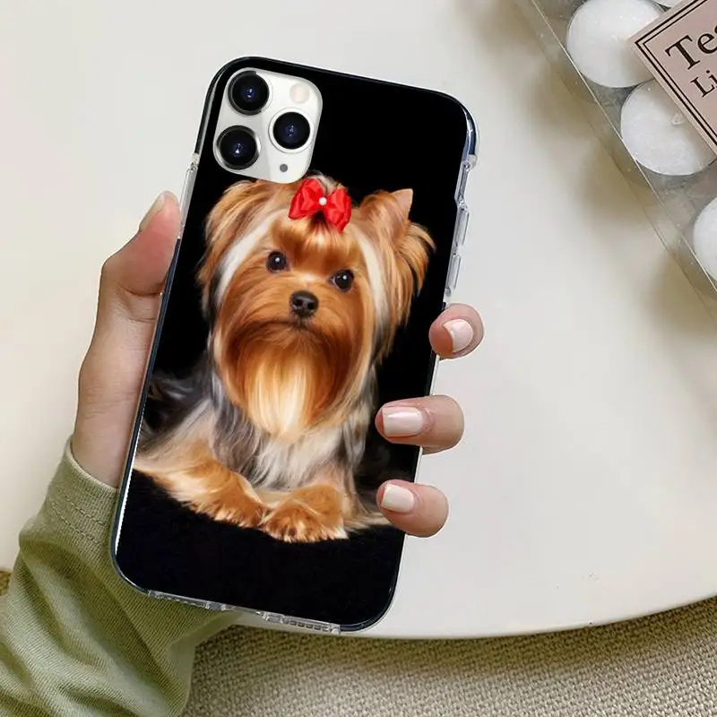 

Yorkshire terrier dog Phone Cases For iphone 12 5 5s 5c se 6 6s 7 8 plus x xs xr 11 pro max mini