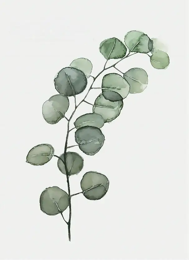 Monstera Deliciosa листья стены Искусство Холст Живопись зеленый стиль растение скандинавские плакаты и принты картина Современное украшение дома