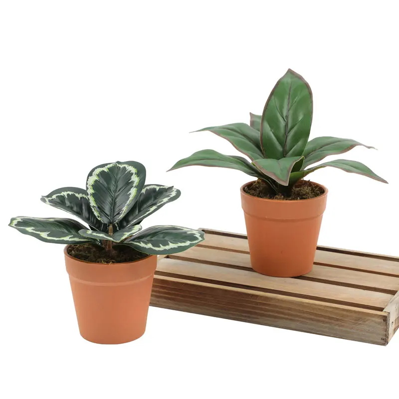 

Artificial Bonsai Plants Evergreen Potted Plants Teen Room Accessories Wedding Decoration Home Decoration Garden Ornaments