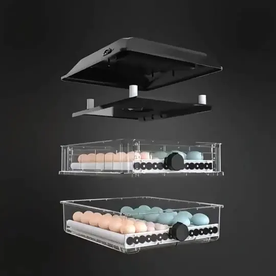 

High Quality Hatching Eggs Chicken Duck Pigeon Quail Automatic Egg Hatchery Machine Egg Incubator