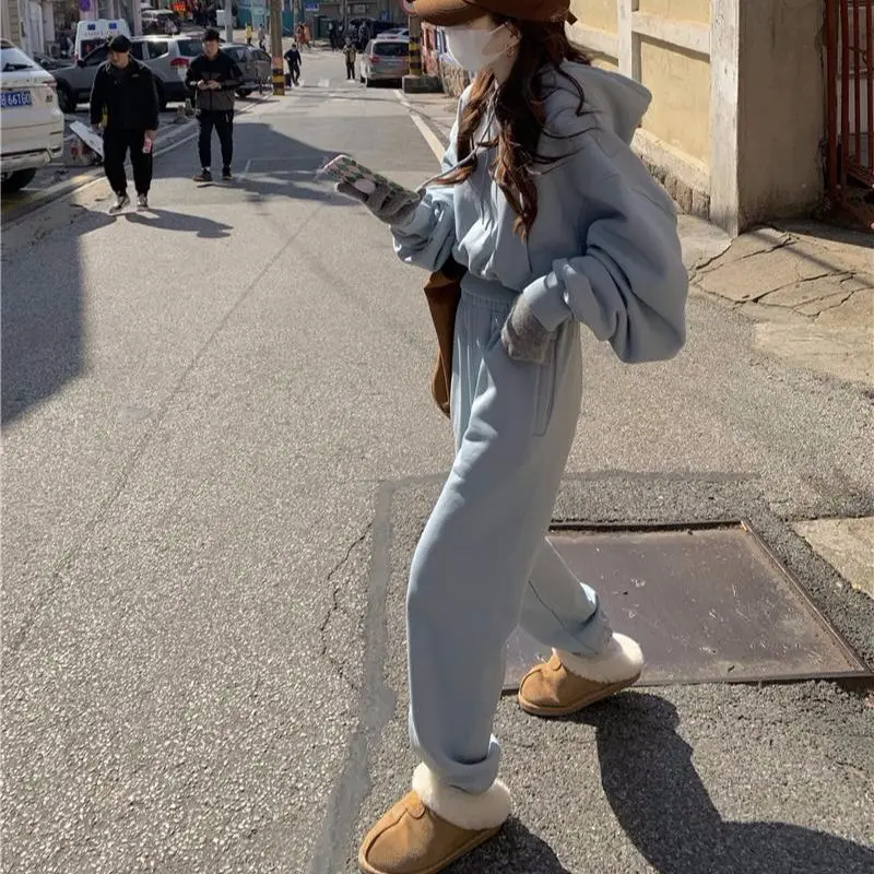 Winter Fleece Warm Tracksuits Setup 2021 Woman Casual Short Hoodie Pullover With Loose Harem Pants Trousers Two-Piece Set |