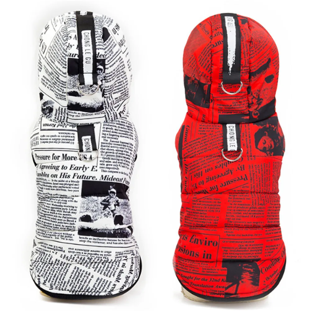 Теплая зимняя одежда для собак | Дом и сад