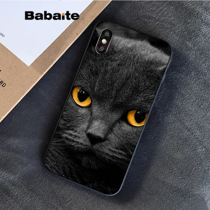 Babaite Британский короткошерстный Кот в продаже окрашенный мягкий чехол для телефона Apple iPhone 8 7 6S Plus X XS MAX 5 5S SE XR