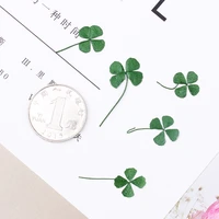 12pcs 1 1 5cm press flower dried flower four leaf clover natural flower stickers diy resin jewelry making