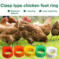 colorful harmless duck chicken leg ring for outdoor chicken ring colorful harmless duck chicken leg ring for outdoor