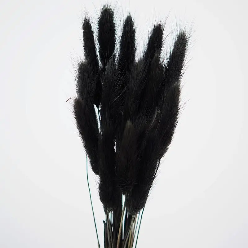 

Mysterious Black Rabbit Tail Grass Natural Flores Secas Plants Home Accessories Party Decoration Wedding Supplies Photo Props