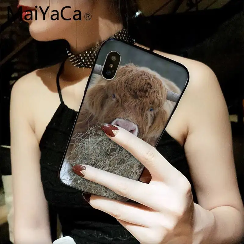 

MaiYaCa Scotland Hooglander Moo Phone Case for iPhone 12 8 7 6 6S Plus X XS MAX 5 5S SE XR 11 12 pro promax