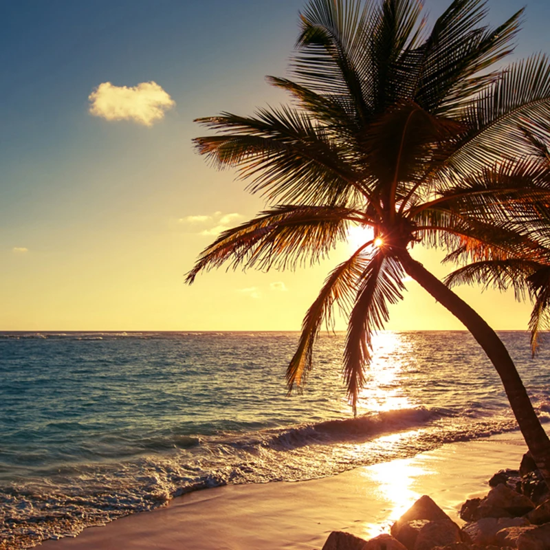 Custom 3D Photo Wallpaper Living Room Sea Sunrise Sunset Seaside Beach Coconut Trees Nature Landscape Mural Paper Wall Painting |