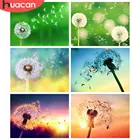 Алмазная 5D картина сделай сам HUACAN, вышивка Одуванчик, полноразмерная вышивка, мозаика с цветами, закат, домашний декор