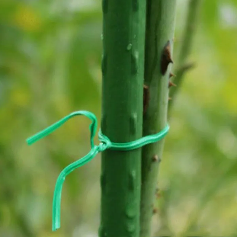 100 шт пластиковый зеленый виноград ротанг поддерживает Садоводство лоза