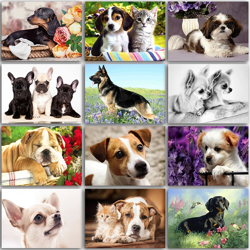 

Набор для алмазной живописи 5D «сделай сам», алмазная вышивка с изображением животных, собак, кошек, бульдогов, круглых и квадратных страз, мо...