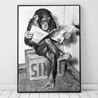 Забавная обезьяна деловой постер и печать настенное искусство животное чтение газета Холст Живопись Домашний декор черная белая художественная картина