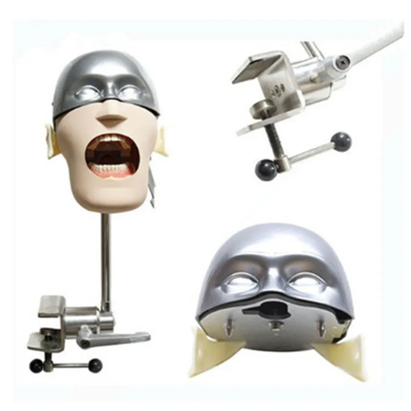 NISSIN Dental manikins фантомная головка модели для стоматологического образования