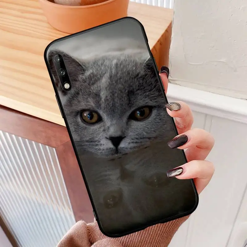 

British shorthair cat Phone Case for Huawei p10 p20 p30 p40 p40pro p20lite p30pro p9lite2016 coque Fundas