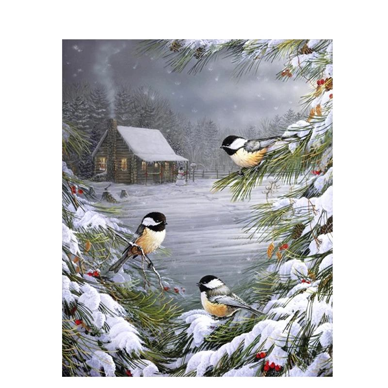 Bird Paint By Number Snow On Canvas With Frame 40x50 For Drawing DIY Craft Kits For Adults Coloring By Number Picture Home Decor