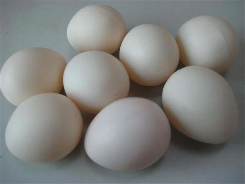 10 шт. поддельное белое полое яйцо пластиковое яйцо Волшебные трюки, используемые для появления/исчезающее яйцо Волшебные трюки аксессуары ...