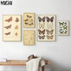 Винтажный постер с изображением бабочек и насекомых, Картина на холсте с изображением бабочек, биологии, Современная Декоративная Настенная картина для обучения