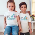 Футболка с динозавром, сестрой, Большим Братом, братьями, сестрами, семейными динозаврами, детский подарок, модная футболка для мальчиков