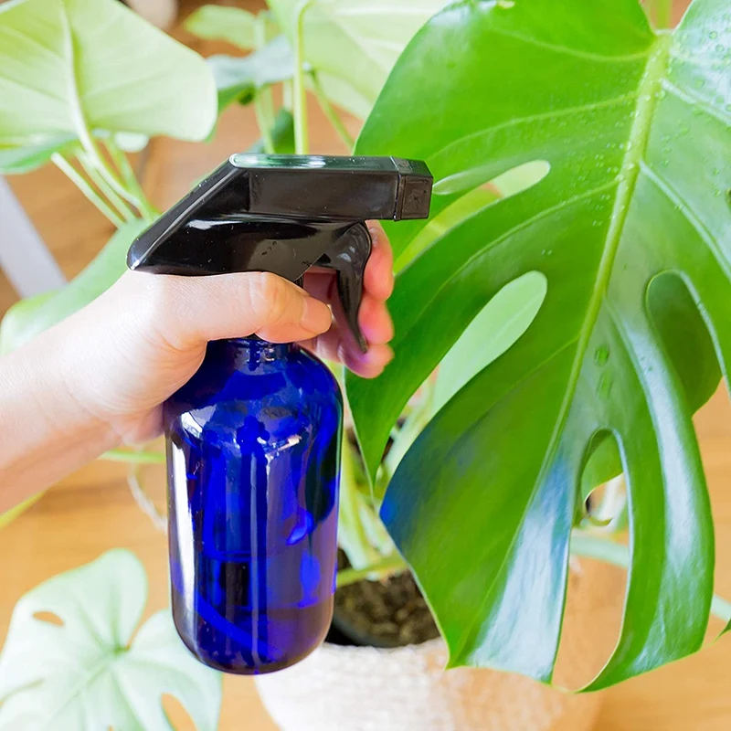 

6 Pcs Empty Glass Spray Bottles,480Ml Refillable Containers,Used for Essential Oils,Cleaning Products or Aromatherapy